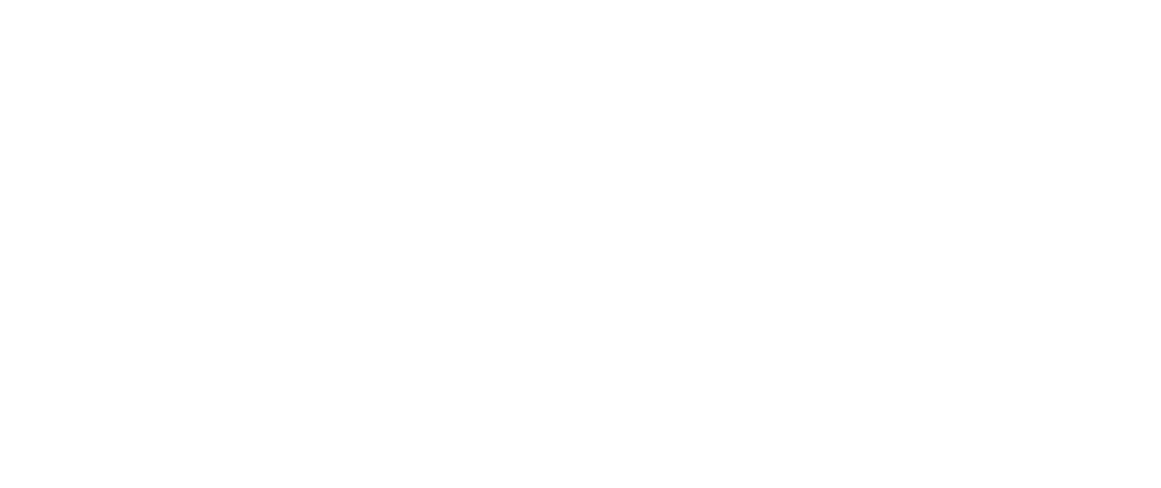 SailPoint Logo White